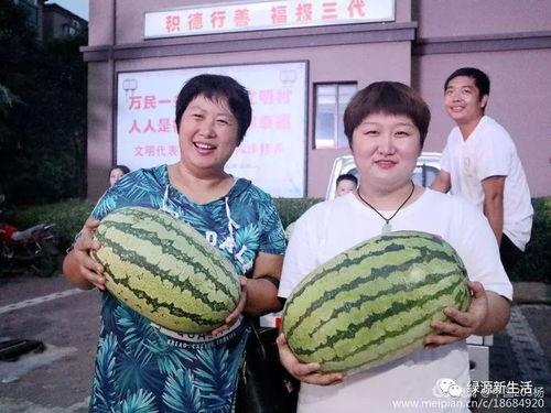 今日吃瓜汇总,娱乐圈热点事件盘点